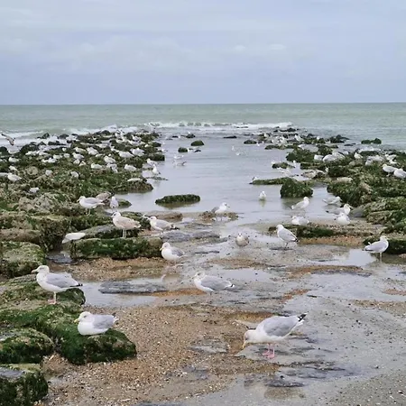 In Nieuwpoort By The Seafront, Cleaning Included 코크시데