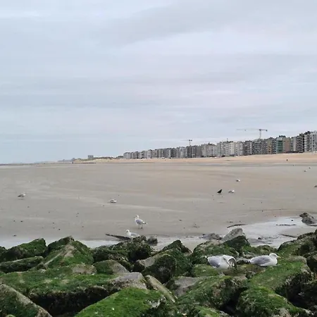 In Nieuwpoort By The Seafront, Cleaning Included * 코크시데