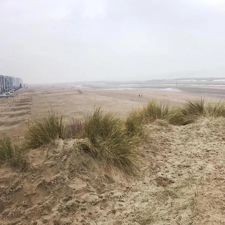 Apartament In Nieuwpoort By The Seafront, Cleaning Included *