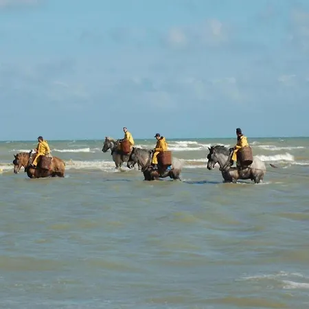 In Nieuwpoort By The Seafront, Cleaning Included