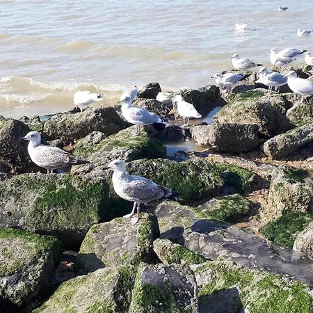 In Nieuwpoort By The Seafront, Cleaning Included 아파트 *