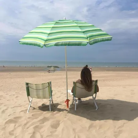 아파트 In Nieuwpoort By The Seafront, Cleaning Included *